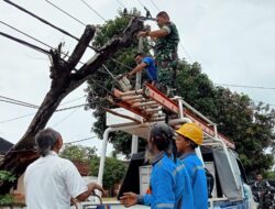 Kodim 0429/Lamtim Bantu Evakuasi Pohon Tumbang