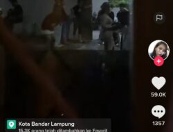 Viral di Tiktok, Musik Kencang XO Stars Coffe Sampai Dini Hari Ganggu Kenyamanan Warga 