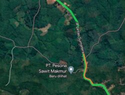Tidak Sesuai Pemanfaatan Ruang, DLH Provinsi Lampung Tidak Terbitkan Permohonan Ekspose Dokumen Lingkungan PT PSM