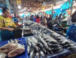 Stok Melimpah, Pasar Gudang Lelang Sepi Pembeli