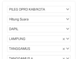 Pileg Tanggamus Romzi Edy Kuasai Suara di dpil 6