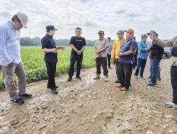 Pj Marindo Tinjau Jalan Rusak di Dua Kecamatan