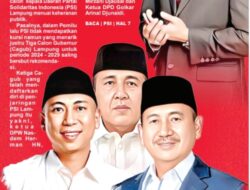 PSI, Partai Gurem Incaran Cagub