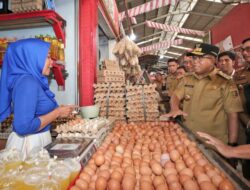 Pj. Gubernur Samsudin Pantau Harga Komoditas Pangan