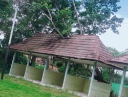 Skandal Perawatan Taman Kota! Pohon Tumbang, Dinas Terkait Diam!
