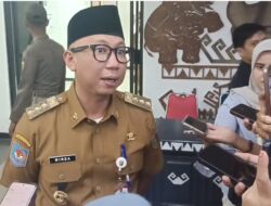 Program Pemutihan Pajak Ada Peluang Perpanjangan