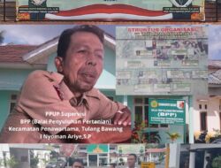 PPUP Supervisi BPP Penawartama Tidak Terlibat, Dugaan Manipulasi Data Di Replanting 30 Miliar Kian Kuat