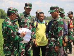 Dandim 0429/Lamtim Kembali Lakukan Peninjauan Lokasi Optimasi Pahan Rawa