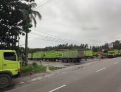 Balam Langka Solar