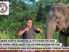 Soal TNBBS, Mukhlis Basri Dituding Giring Opini Liar