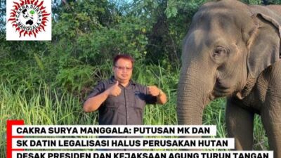 Soal TNBBS, Mukhlis Basri Dituding Giring Opini Liar