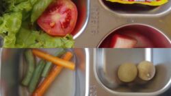 SPPG Dapur Pekon Banding Agung Diduga Menyajikan Menu Ramping Hingga Terjadi Keluhan.