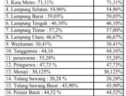 Di Balik Jalan Provinsi yang Mulus, Kabupaten Lampung Masih Tertatih