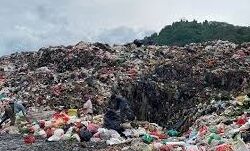 Tak Punya Perencanaan, DLH Balam Hamburkan Anggaran