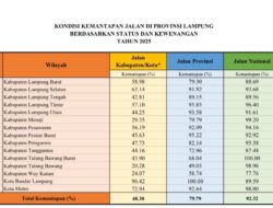 Jalan Provinsi Melaju, Kabupaten Masih Tertinggal
