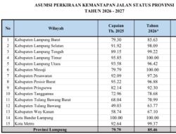 Bukan Kota, Kabupaten Jadi Kunci: Infrastruktur Jalan Lampung Melaju Pesat