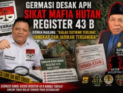 Dewan Lambar Terseret Kasus Mafia Hutan ?