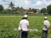 Berpraktek Hilirisasi di Lampung Menuju Industri Manufaktur
