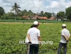 Berpraktek Hilirisasi di Lampung Menuju Industri Manufaktur