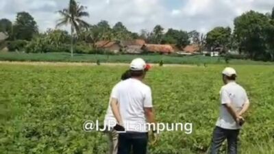 Berpraktek Hilirisasi di Lampung Menuju Industri Manufaktur