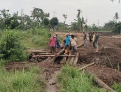 Warga Bangun Jembatan Darurat dari Batang Kelapa, Akses Perbatasan Bandar Lampung–Lamsel 
