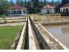 Proyek Pengadaan Bibit Ikan Dinas Perikanan Lampung Utara Rp300 Juta Diduga Fiktif 