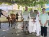DKM Al Iman Gedong Meneng Gelar Penyembelihan Hewan Qurban 1447 Hijriah