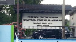 Disnaker Lampung Akan Panggil Perusahaan Terkait Keluhan Ratusan Pekerja Tol Bakter