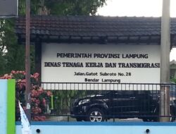 Disnaker Lampung Akan Panggil Perusahaan Terkait Keluhan Ratusan Pekerja Tol Bakter