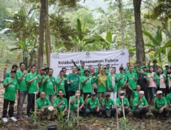KTH Rangai Sejahtera dan PLN Nusantara Power UP Tarahan Tanam 1.800 Pohon Peringati Hari Lingkungan Hidup Sedunia 2026