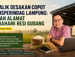 Di Balik Desakan Copot Kadisperindag Lampung: Salah Alamat Memahami Resi Gudang